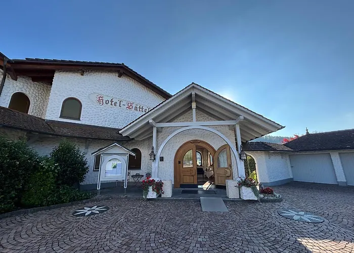 Hotel Sättele - Im Hegau, nahe Singen&Radolfzell am Bodensee