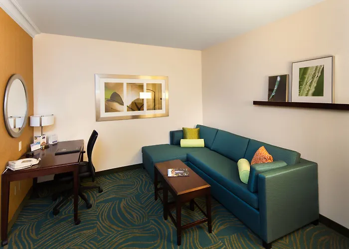 Springhill Suites By Marriott Sacramento Natomas