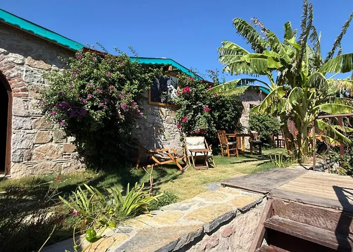 Pet Friendly Pool Suites