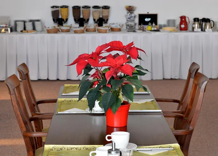 Hotel Dvorak