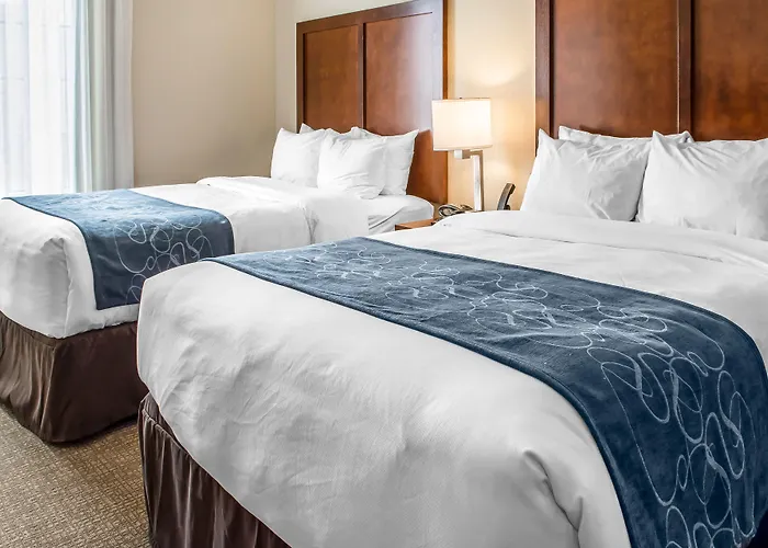 Comfort Suites Near Potomac Mills Woodbridge