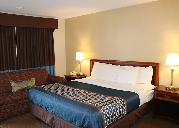 Elite Inn