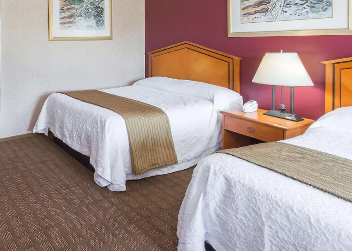 Elite Inn