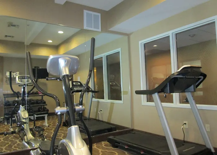 Comfort Inn & Suites Galt - Lodi North