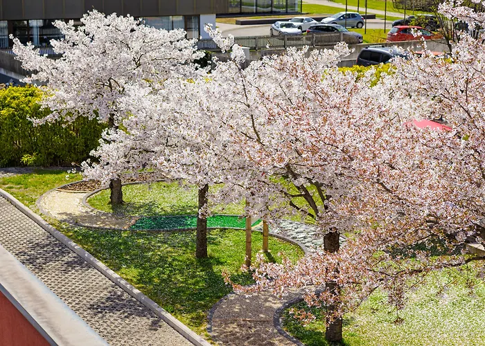 Asia Hotel & Spa Leoben