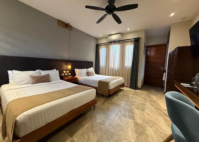 Hotel Arista 1026