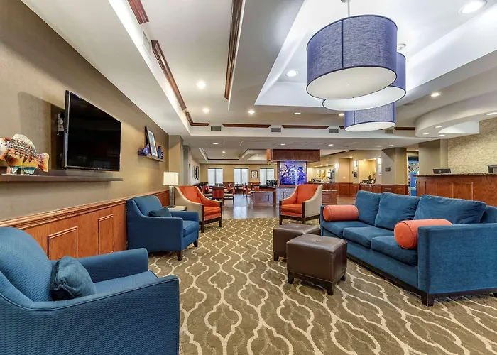 Comfort Suites Near Texas A&M - Corpus Christi