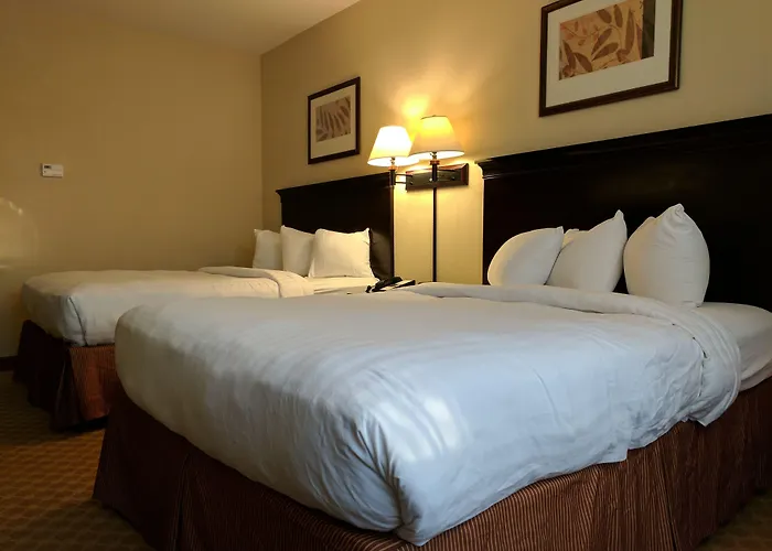 Country Inn & Suites By Radisson, Tallahassee-University Area, Fl