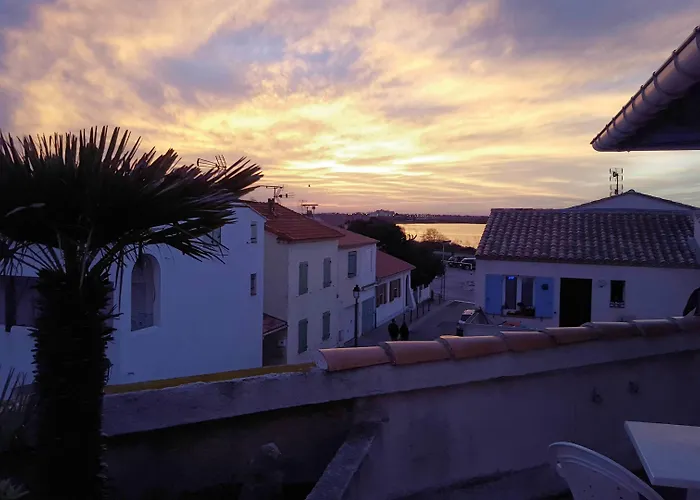 Hotel Les Palmiers En Camargue