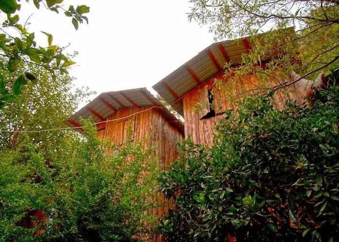 Bayrams Tree Houses
