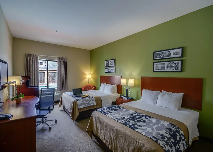 Sleep Inn & Suites Pearland - Houston South