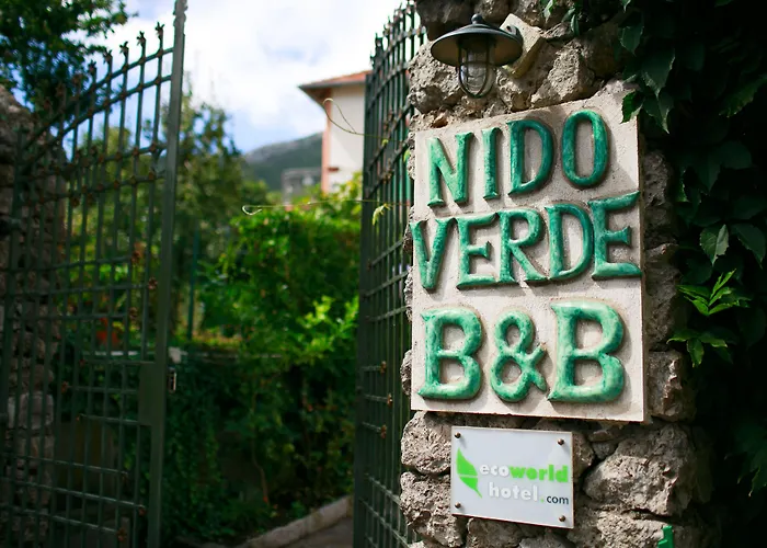 Nido Verde