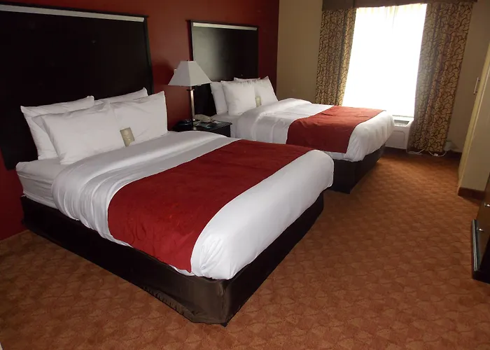Comfort Suites Old Town Spring