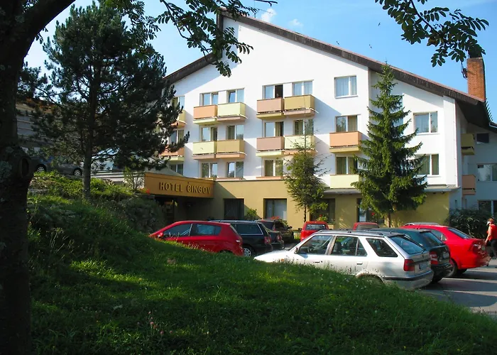 Park Hotel Cingov