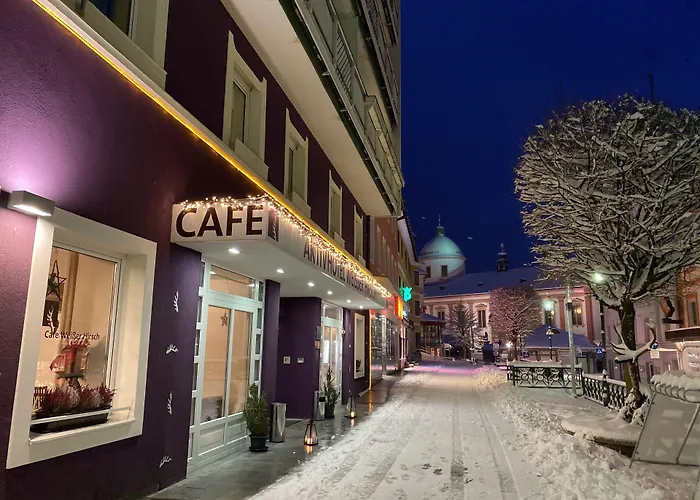AKTIVHOTEL Weisser Hirsch
