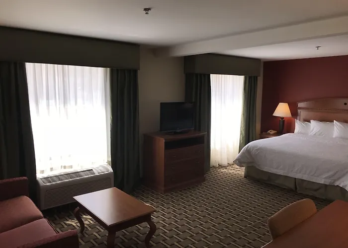 Hampton Inn & Suites Salida, Co