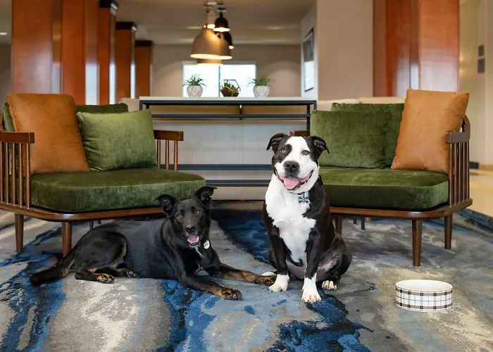 Fairfield Inn & Suites Redding