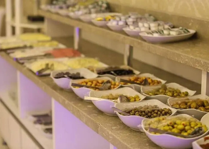 Hotel Sahiner Nigde
