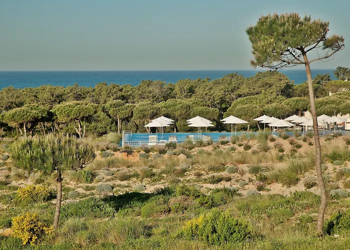 The Oitavos