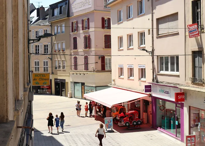 Logis-Hotel Des Oliviers