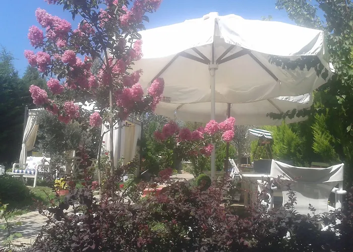 Ege Han Hotel
