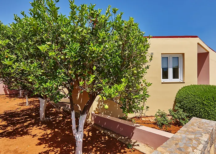 Everest Apartments And Suites
