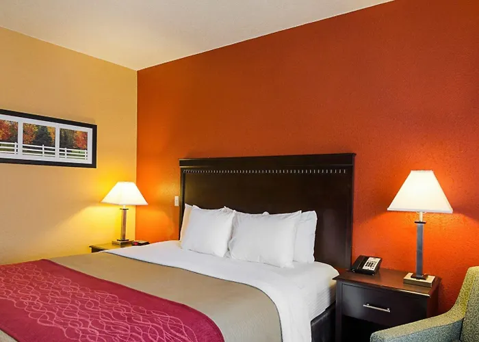 Comfort Inn & Suites Orange - Montpelier