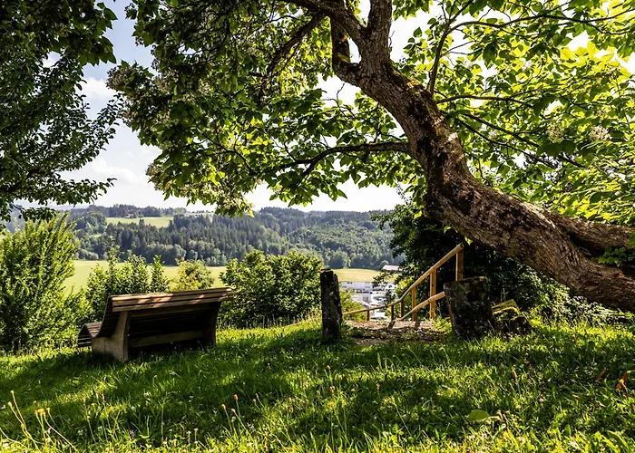 Hotel - Gasthof zur Rose