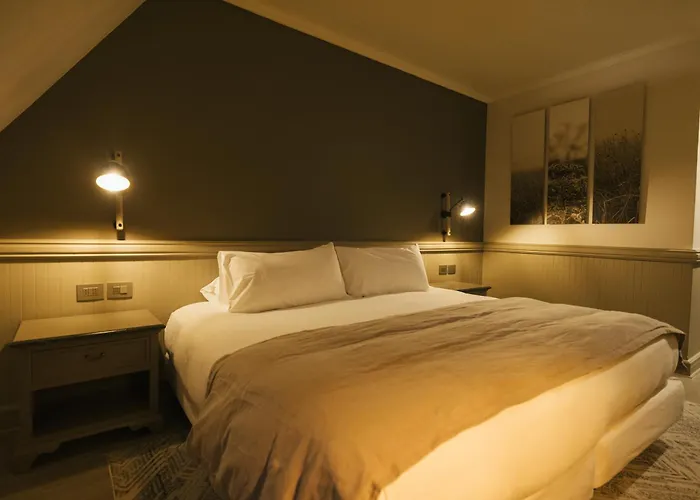 Hotel Costa Australis