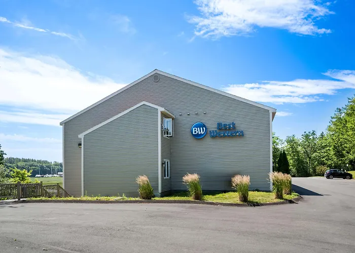 Best Western - Freeport Inn