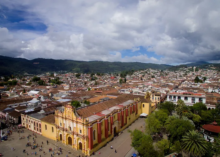 Plaza Magnolias