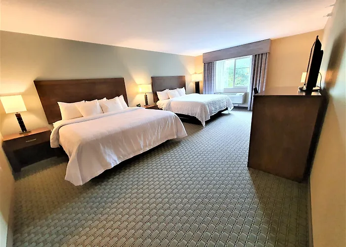 Comfort Inn & Suites - Chisago City
