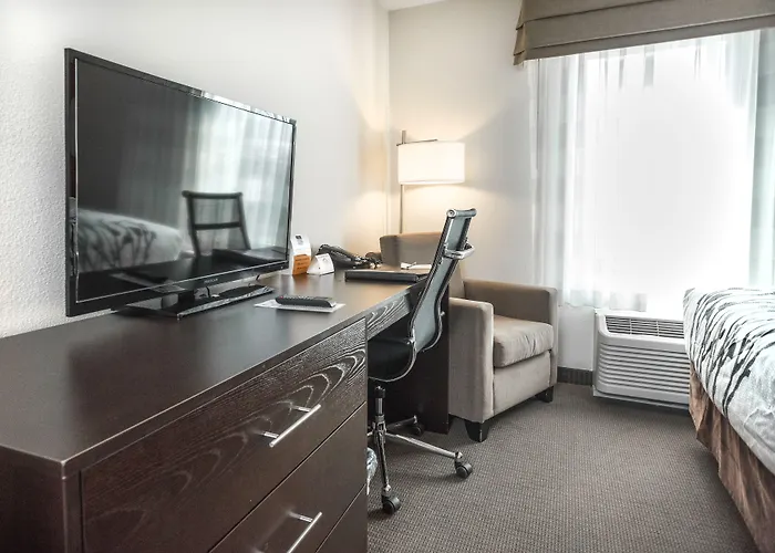 Sleep Inn & Suites And Conference Center Downtown