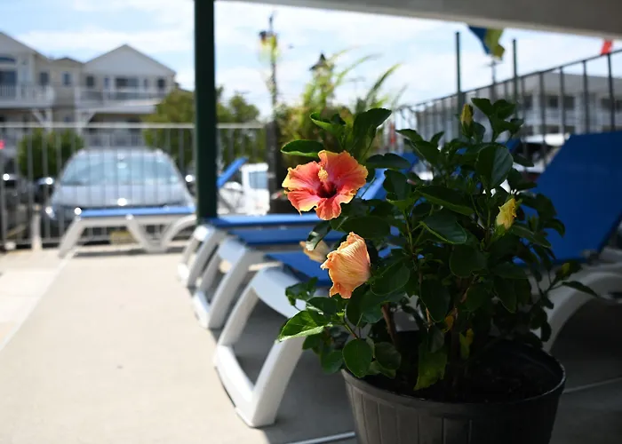 Grecian Garden Motel