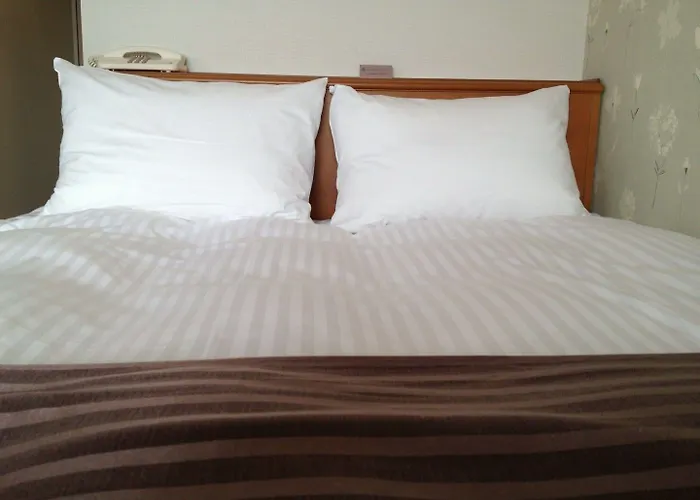 Tottori City Hotel