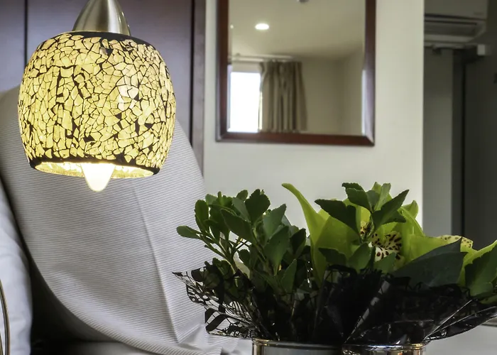 Areca Launceston