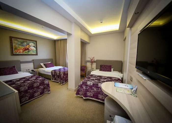 Asya Hotel