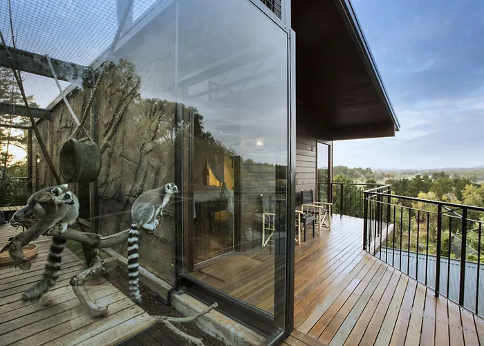 Jamala Wildlife Lodge