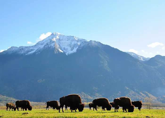 Fraser River Lodge
