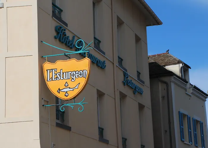 Hotel L'Esturgeon