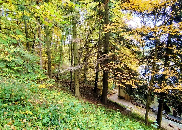 Ferienwohnung Haus am Wald