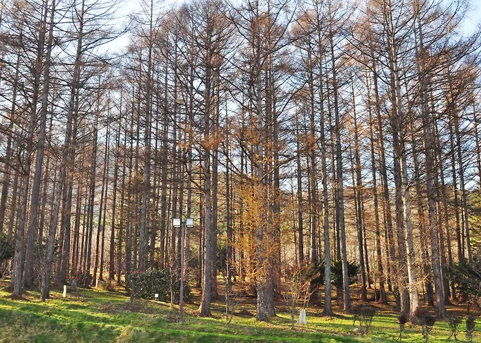 Highland Furano