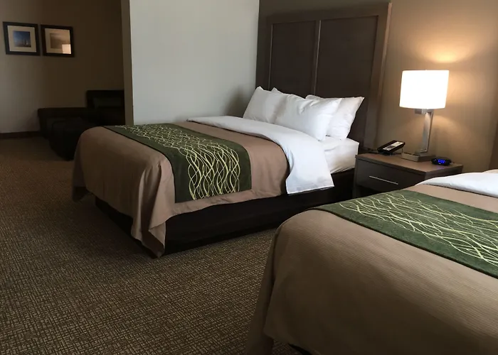 Comfort Inn & Suites Snyder