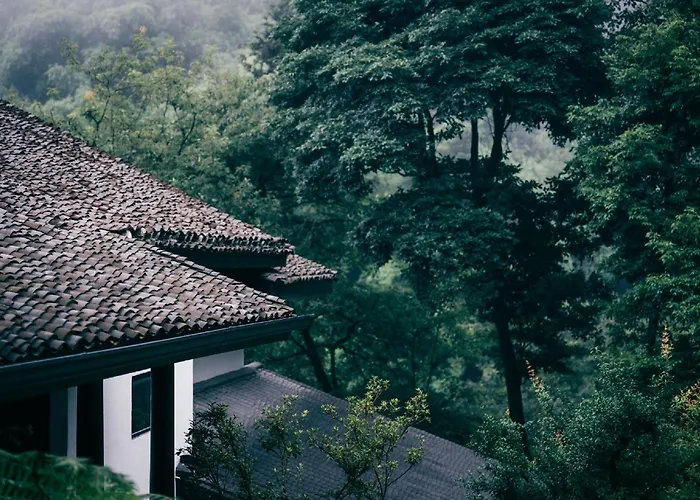 Alan Forest Stream Vacation Homestay, Mount Emei