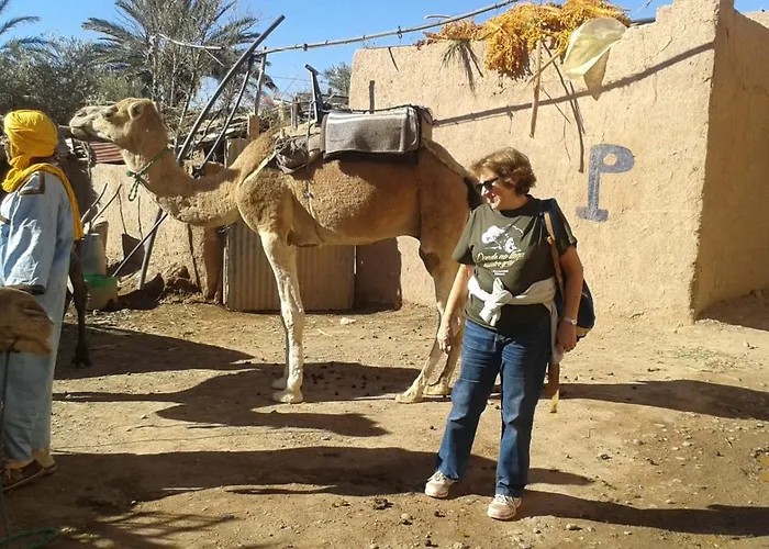 Dar Dmana Chez L'Habitant