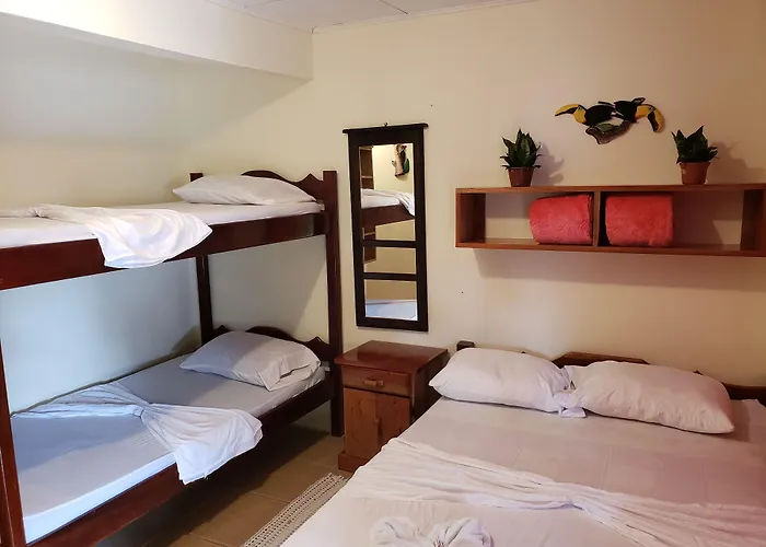 Cabinas Pura Vida B&B And Tour Operator