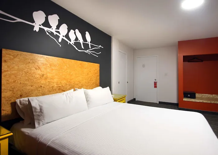 B My Hotel
