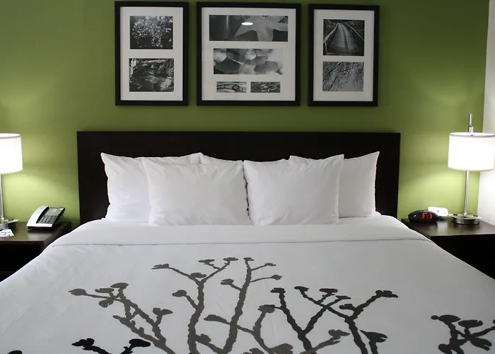 Sleep Inn Ellenboro Hwy 50