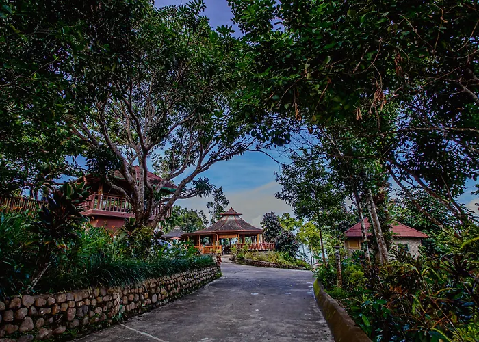 Atremaru Jungle Retreat