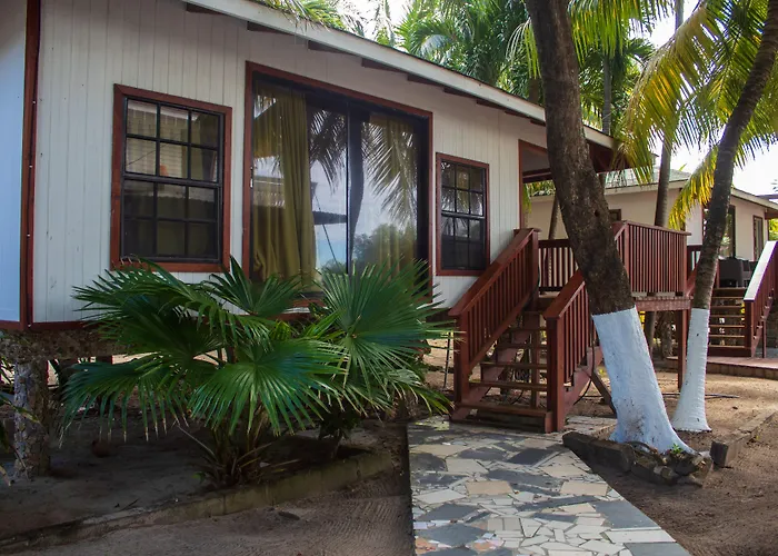 Coconut Tree West Bay